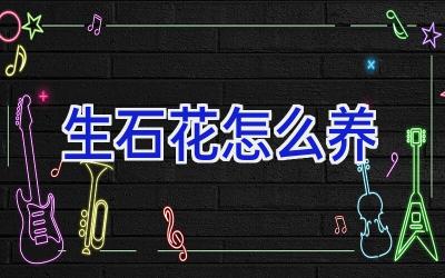 生石花怎么养插图