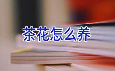 茶花怎么养插图 茶花怎么养插图