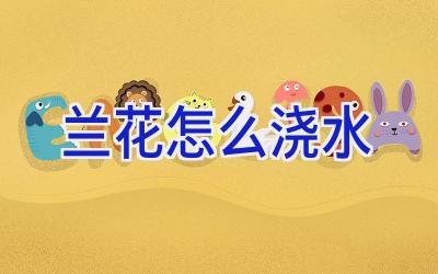 兰花怎么浇水插图 兰花怎么浇水插图