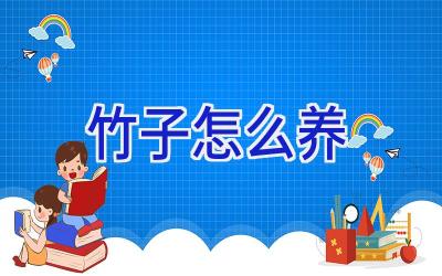 竹子怎么养插图 竹子怎么养插图