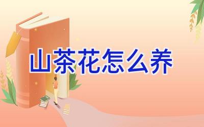 山茶花怎么养插图 山茶花怎么养插图