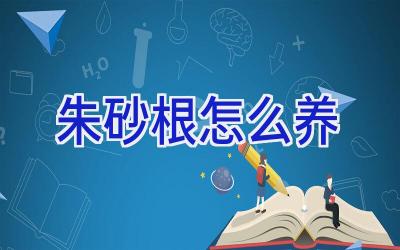 朱砂根怎么养插图 朱砂根怎么养插图