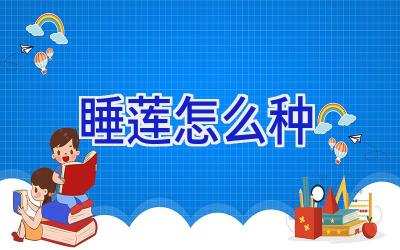 睡莲怎么种插图 睡莲怎么种插图