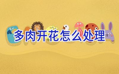 多肉开花怎么处理插图 多肉开花怎么处理插图