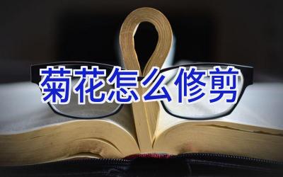 菊花怎么修剪插图