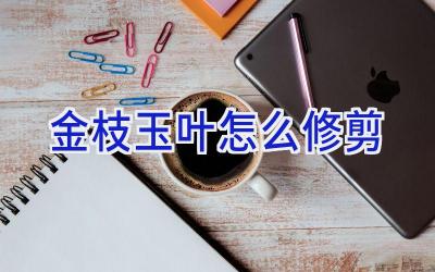 金枝玉叶怎么修剪插图