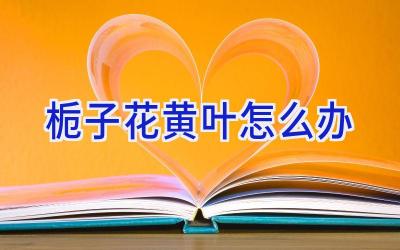 栀子花黄叶怎么办插图