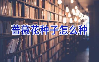 蔷薇花种子怎么种插图 蔷薇花种子怎么种插图