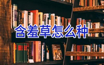 含羞草怎么种插图 含羞草怎么种插图