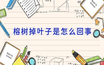 榕树掉叶子是怎么回事插图 榕树掉叶子是怎么回事插图