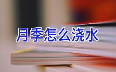 月季怎么浇水插图 月季怎么浇水插图