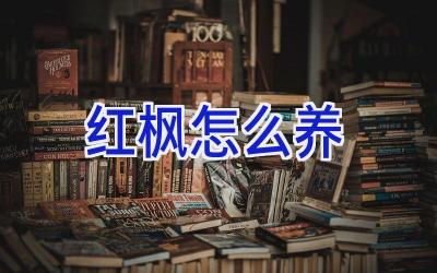 红枫怎么养插图 红枫怎么养插图