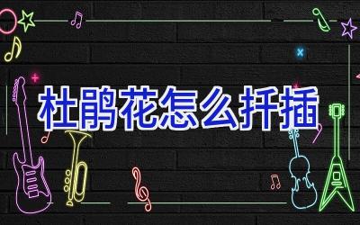 杜鹃花怎么扦插插图 杜鹃花怎么扦插插图