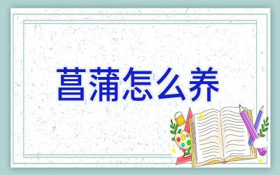 菖蒲怎么养插图