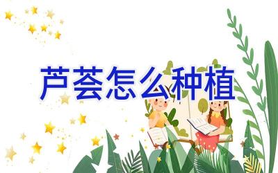 芦荟怎么种植插图