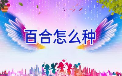 百合怎么种插图 百合怎么种插图