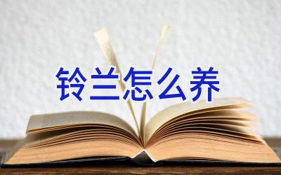 铃兰怎么养插图 铃兰怎么养插图