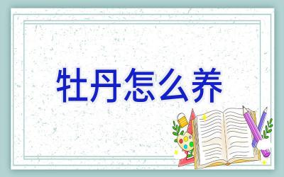 牡丹怎么养插图