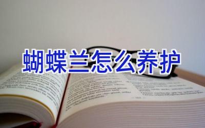 蝴蝶兰怎么养护插图