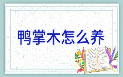 鸭掌木怎么养插图 鸭掌木怎么养插图