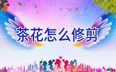 茶花怎么修剪插图 茶花怎么修剪插图