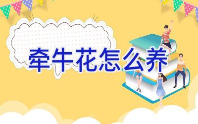 牵牛花怎么养插图 牵牛花怎么养插图