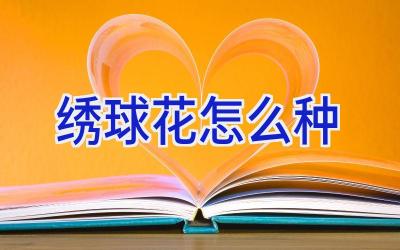 绣球花怎么种插图 绣球花怎么种插图