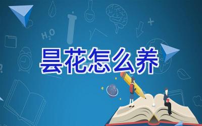 昙花怎么养插图 昙花怎么养插图