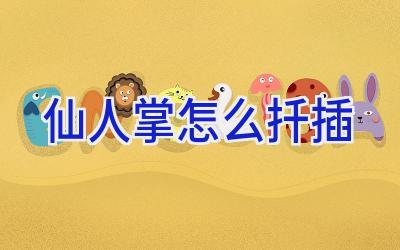 仙人掌怎么扦插插图