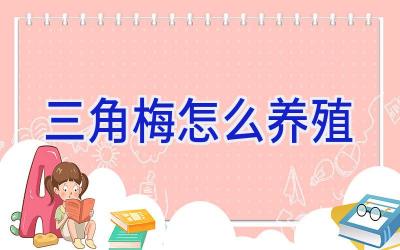 三角梅怎么养殖插图