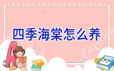 四季海棠怎么养插图 四季海棠怎么养插图