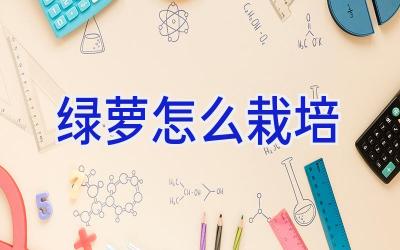 绿萝怎么栽培插图 绿萝怎么栽培插图