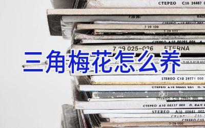 三角梅花怎么养插图 三角梅花怎么养插图