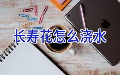 长寿花怎么浇水插图 长寿花怎么浇水插图