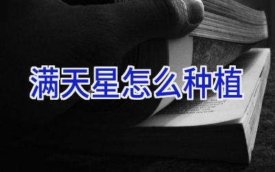 满天星怎么种植插图 满天星怎么种植插图