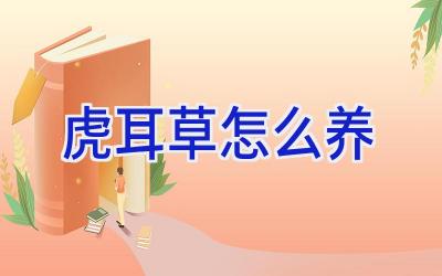 虎耳草怎么养插图 虎耳草怎么养插图