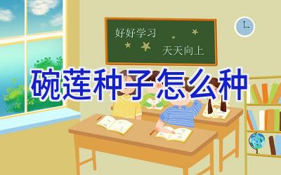 碗莲种子怎么种插图 碗莲种子怎么种插图