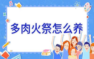 多肉火祭怎么养插图
