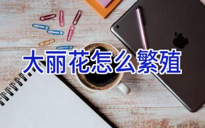 大丽花怎么繁殖插图