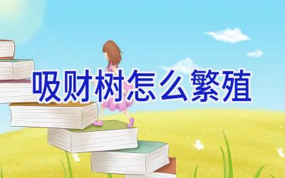 吸财树怎么繁殖插图 吸财树怎么繁殖插图