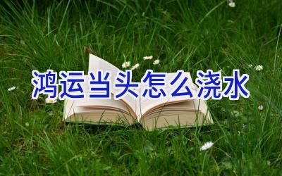 鸿运当头怎么浇水插图 鸿运当头怎么浇水插图