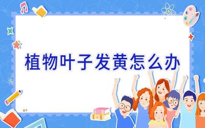 植物叶子发黄怎么办插图 植物叶子发黄怎么办插图