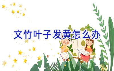 文竹叶子发黄怎么办插图