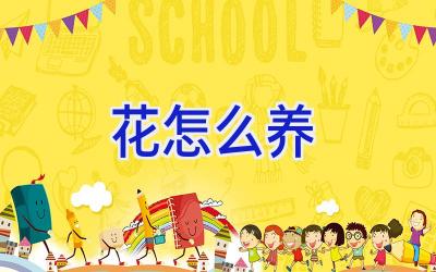 花怎么养插图 花怎么养插图