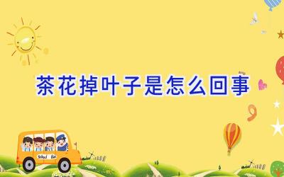 茶花掉叶子是怎么回事插图 茶花掉叶子是怎么回事插图