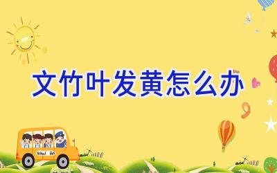 文竹叶发黄怎么办插图