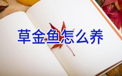 草金鱼怎么养插图