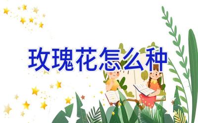 玫瑰花怎么种插图 玫瑰花怎么种插图