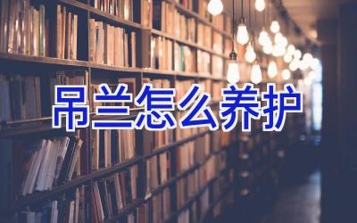 吊兰怎么养护插图