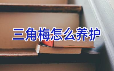 三角梅怎么养护插图 三角梅怎么养护插图